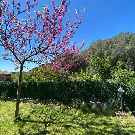 Primula Palinuri Bed & Breakfast 3*