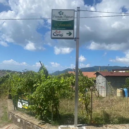 Primula Palinuri Bed & Breakfast 3*